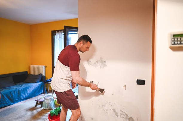 Best Emergency Mold Remediation in Su Oswego, NY